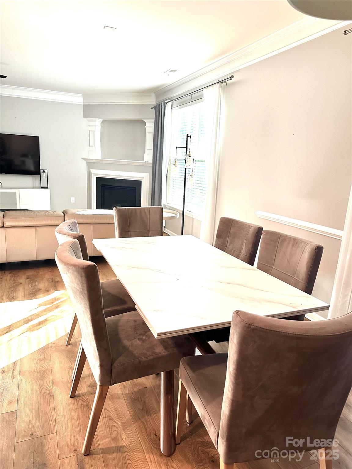 16732 Prairie Falcon Lane Charlotte, NC 28278 - Photo 5 of 18 a living room with furniture a fireplace and a flat screen tv