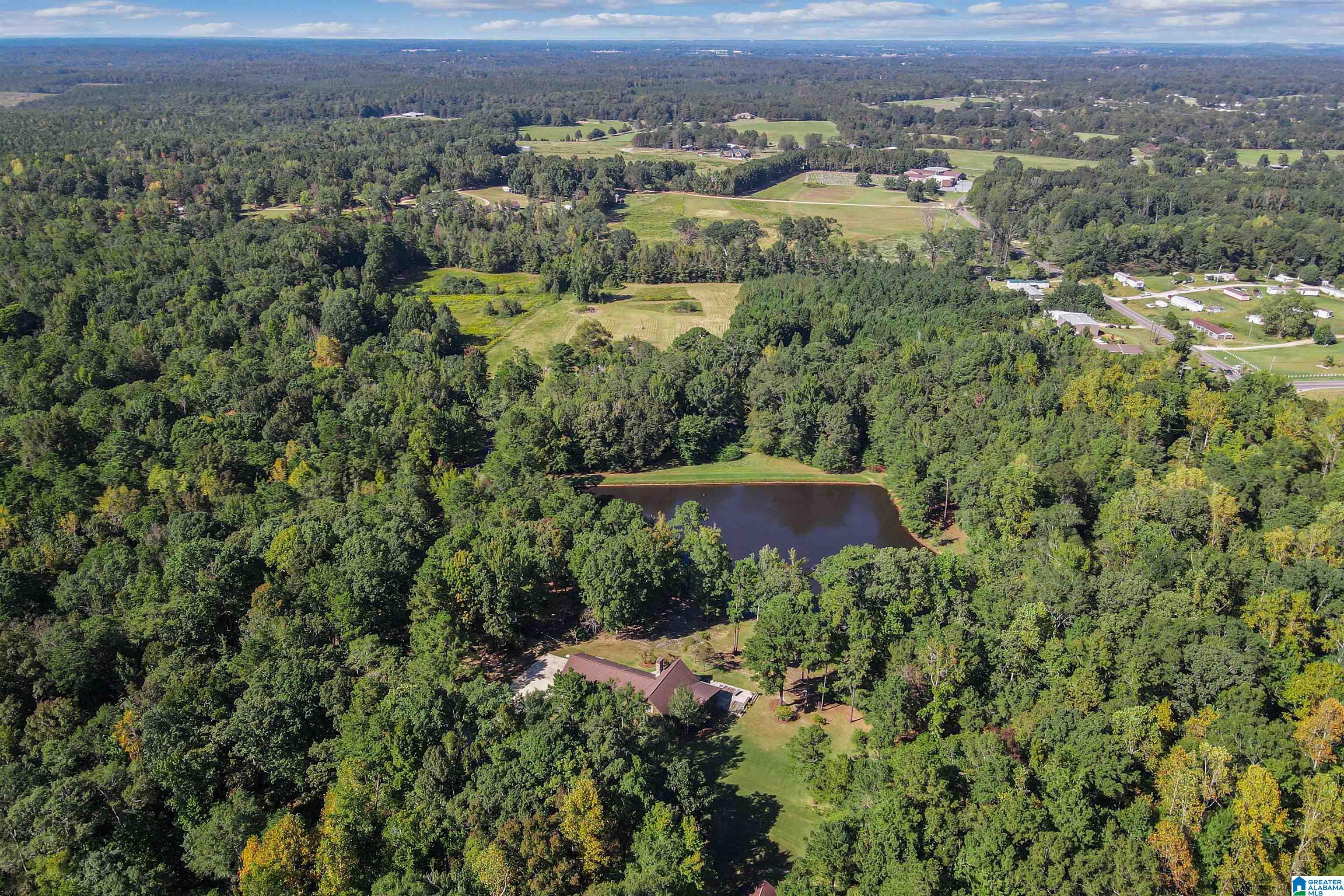 20110 Highway 22 Clanton, AL 35045 - Photo 21 of 49