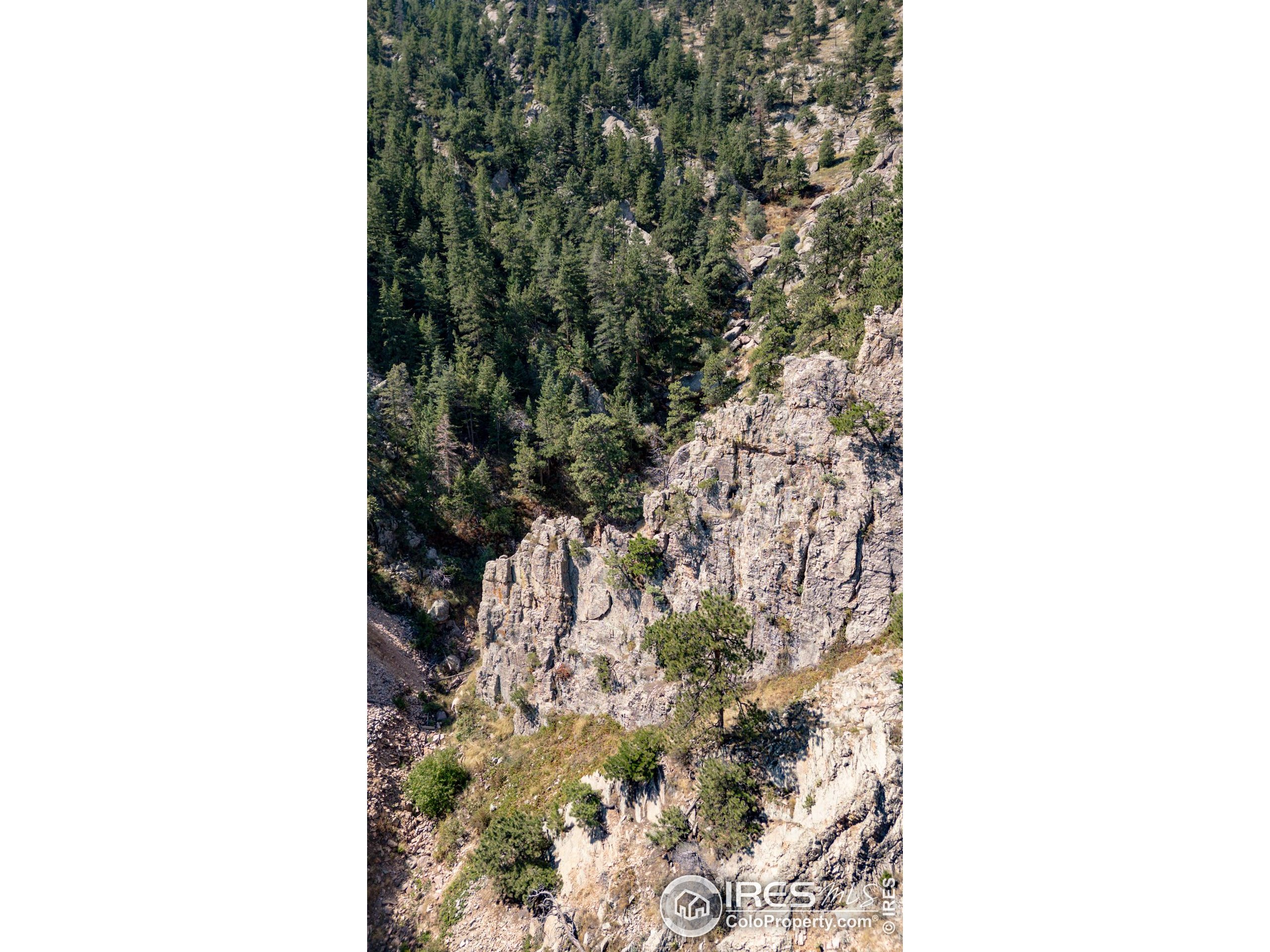 320 South Cedar Brook Road Boulder, CO 80304 - Photo 8 of 47