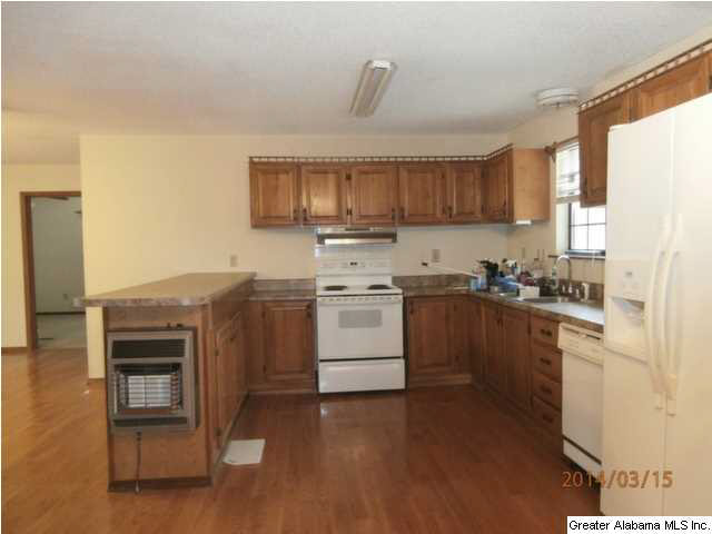 4238 Nauvoo Road Nauvoo, AL 35578 - Photo 5 of 28