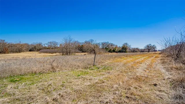 a view of mountain view with trees