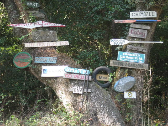 raccoon Island Rd  (2)