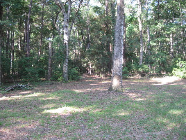 8596 Raccoon Island Road Edisto Island, SC 29438 - Photo 11 of 13 raccoon Island Rd (11)