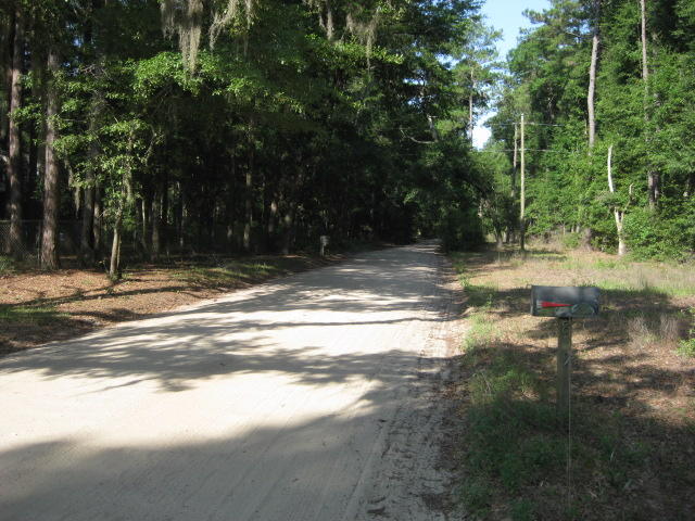 raccoon Island Rd  (3)