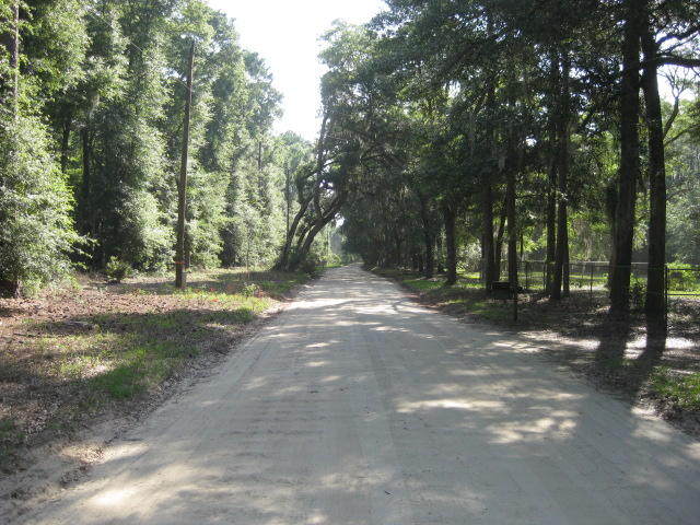 raccoon Island Rd  (4)