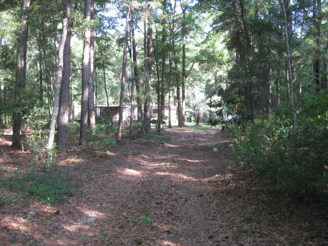 raccoon Island Rd  (5)