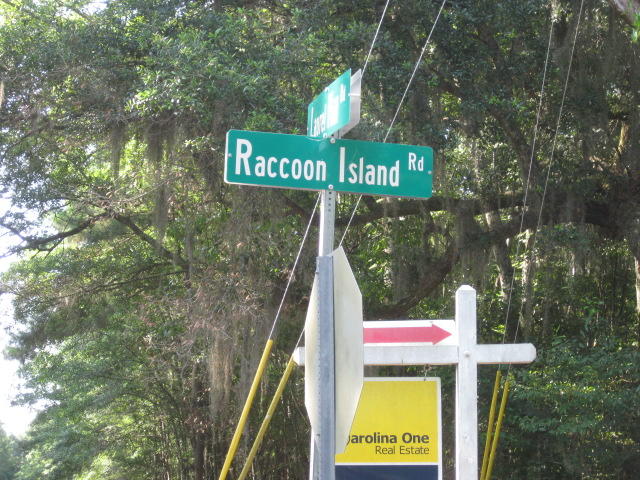8596 Raccoon Island Road Edisto Island, SC 29438 - Photo 9 of 13 raccoon Island Rd (1)