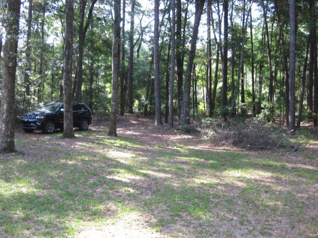 8596 Raccoon Island Road Edisto Island, SC 29438 - Photo 10 of 13 raccoon Island Rd (10)
