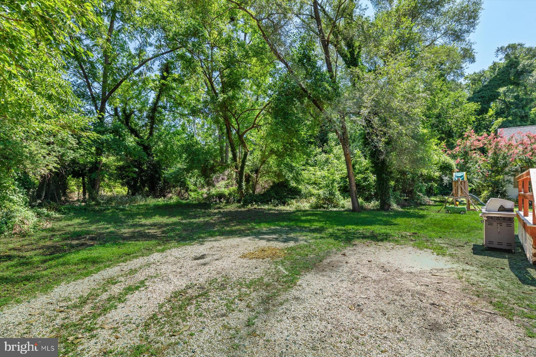 605 Ridge Road Salisbury, MD 21801 - Photo 24 of 61 Lush green oasis awaits your vision.