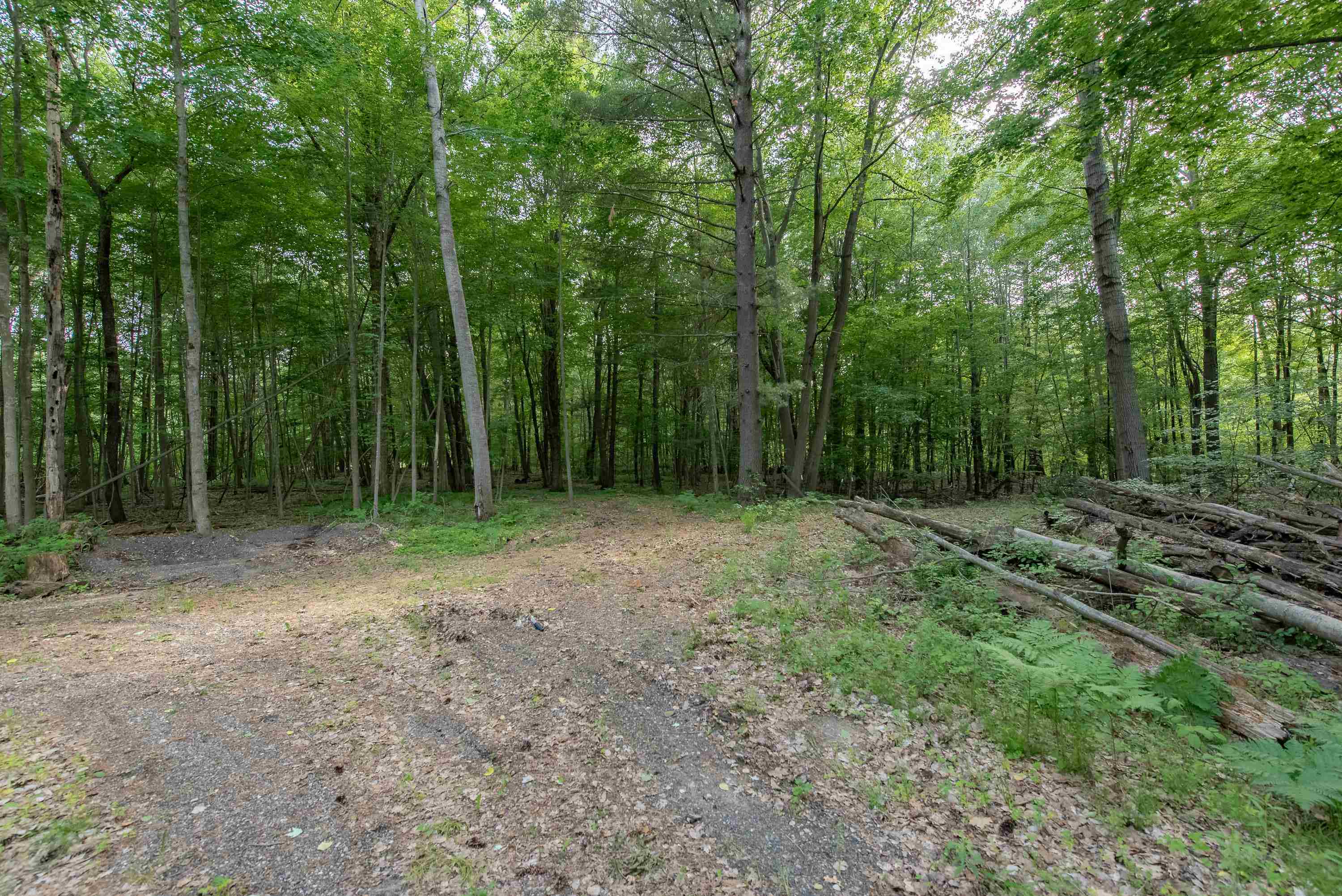 1365 East Shaffer Road Hope, MI 48628 - Photo 90 of 99