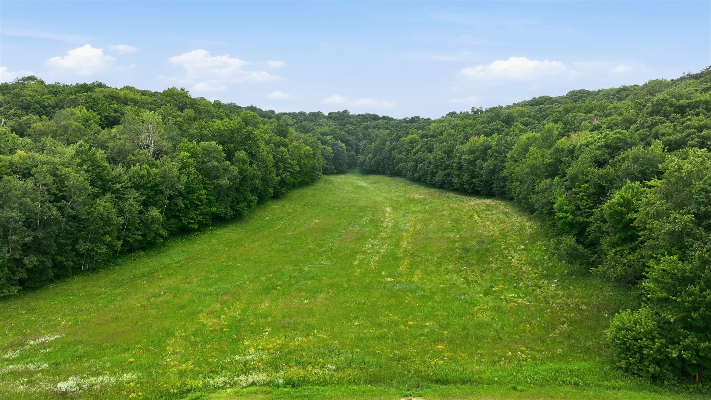 40-acres County Road South Wheeler, WI 54772 - Photo 1 of 22