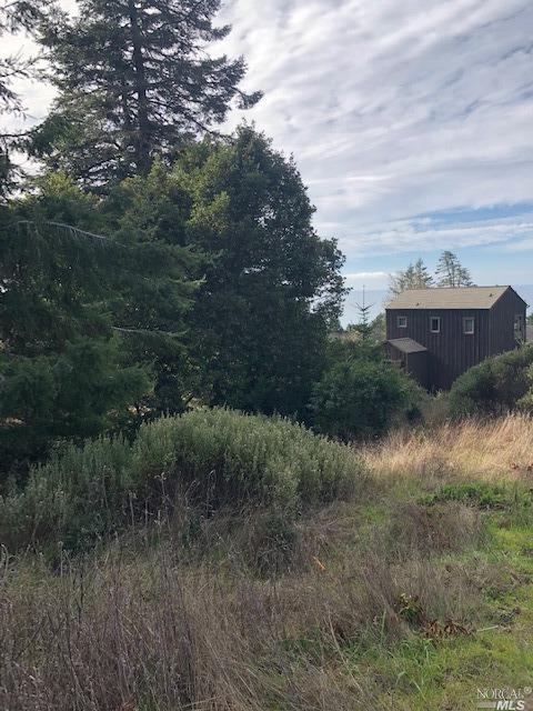36090 Sea Ridge Road The Sea Ranch, CA 95497 - Photo 1 of 1 a view of a town with trees in the background