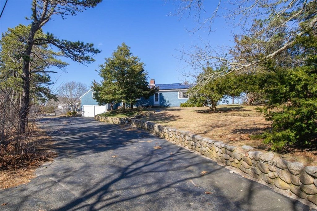 157 Daniels Island Road Mashpee, MA 02649 - Photo 38 of 41 a view of dirt yard with a tree