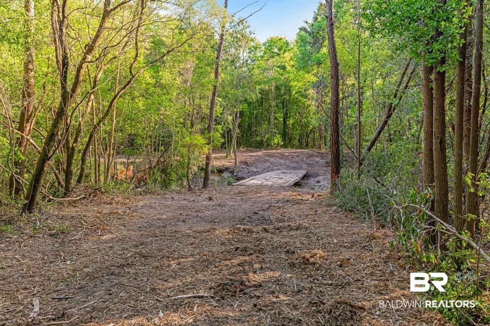 11100 Kali Oka Road Eight Mile, AL 36613 - Photo 30 of 49
