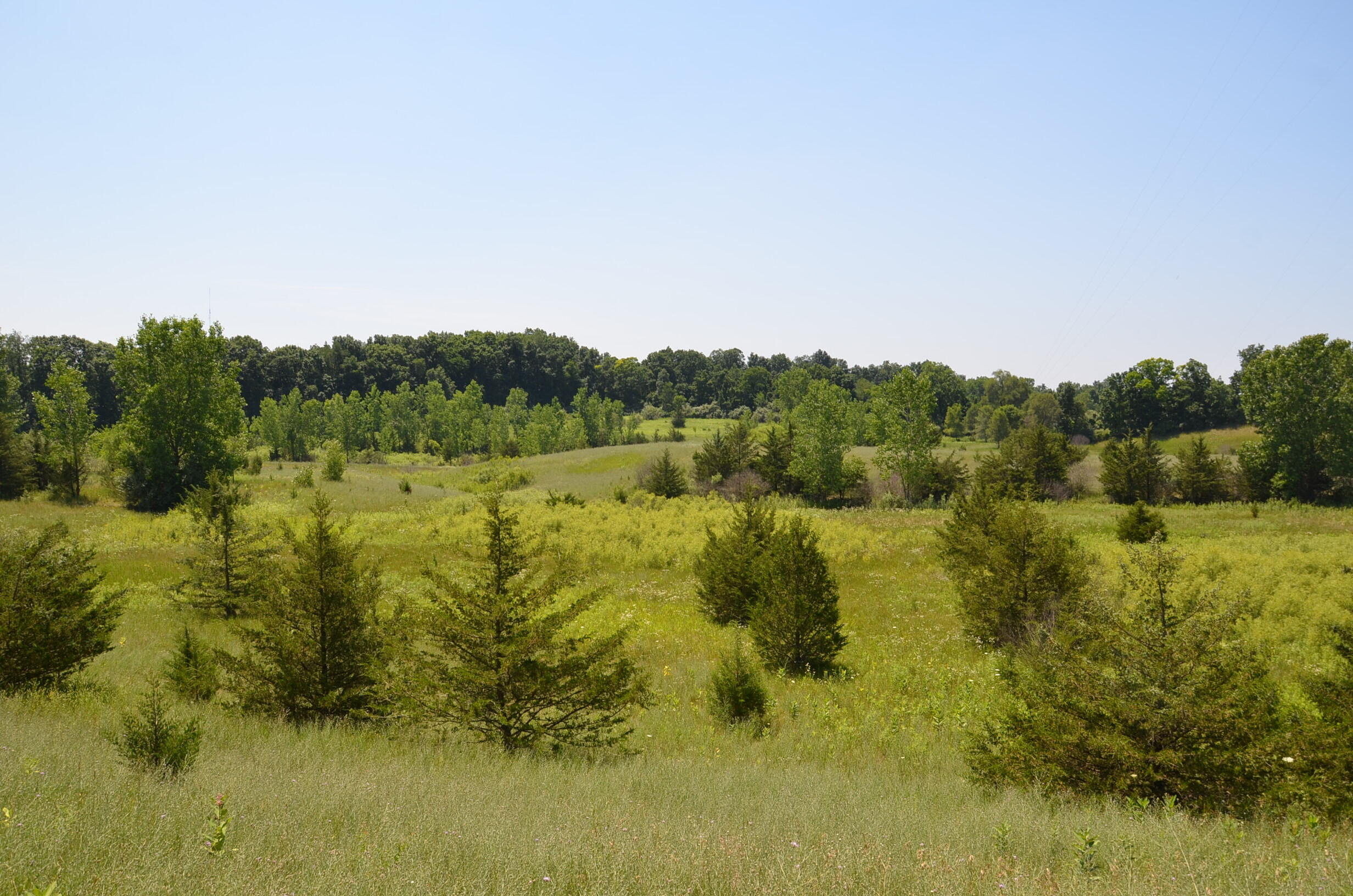 North Payne Lake Road Middleville, MI 49333 - Photo 18 of 42 DSC_6189