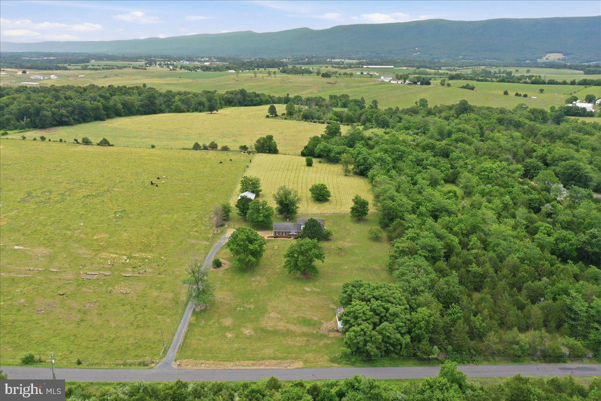 2447 Headquarters Road Edinburg, VA 22824 - Photo 54 of 58