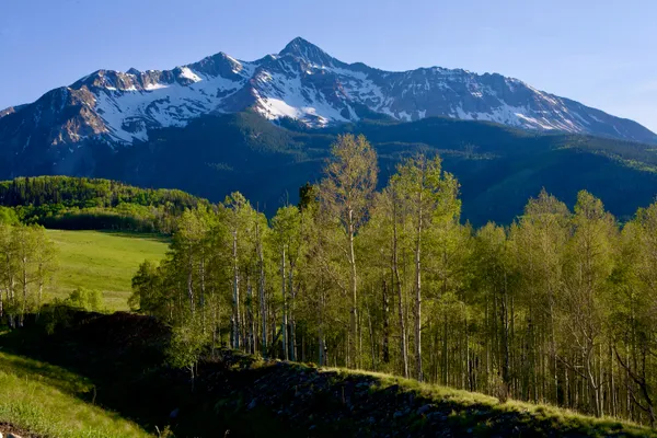 $5,280,000 | Tbd Sunlight Mine Lane, Ophir, CO 81426