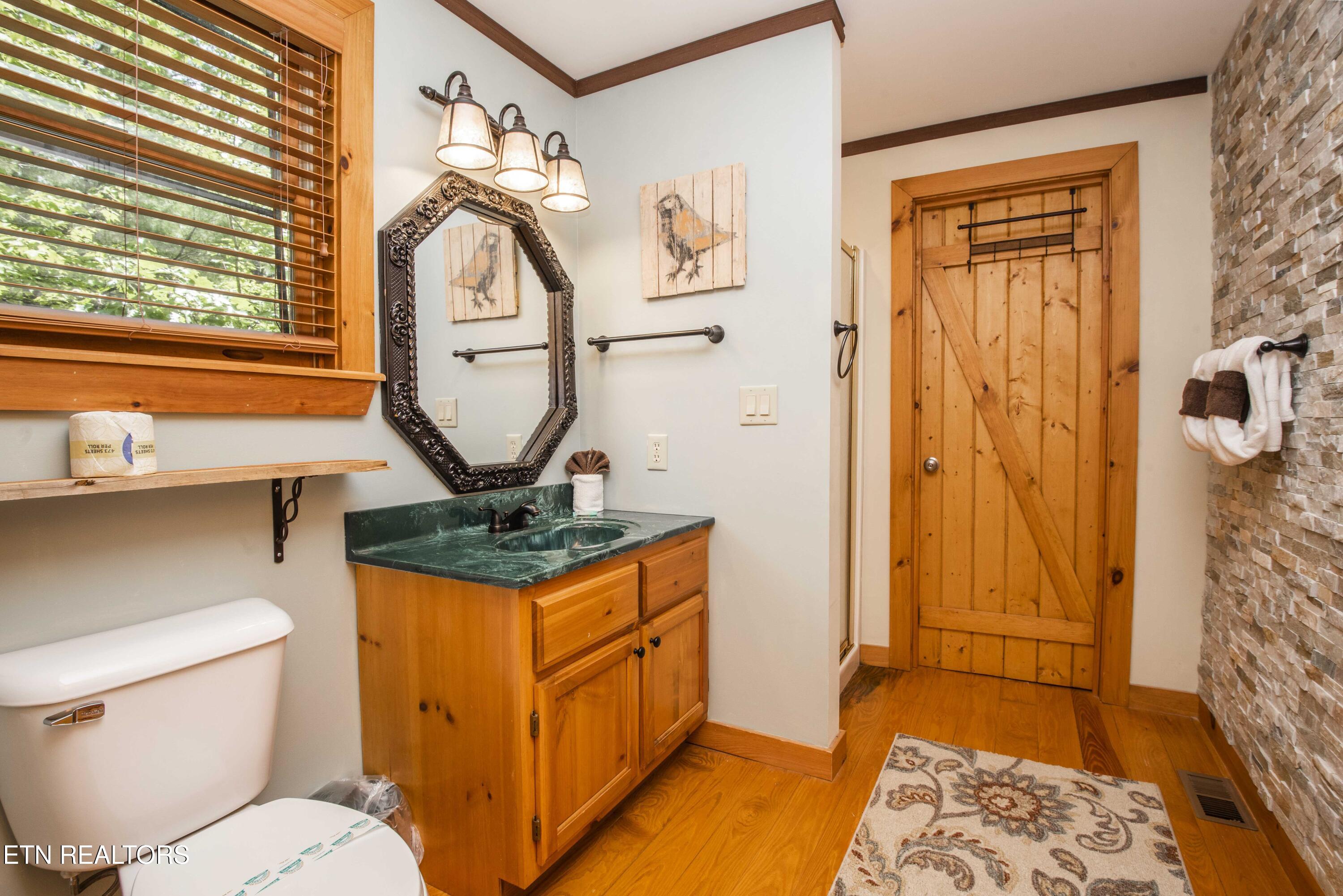 218 Ace Gap Road Townsend, TN 37882 - Photo 21 of 28 Bath_1
