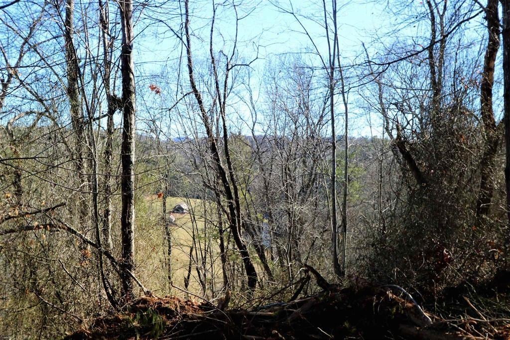 392 Elephant Curve Road Northwest Floyd, VA 24091 - Photo 13 of 27 Gallery Image 13