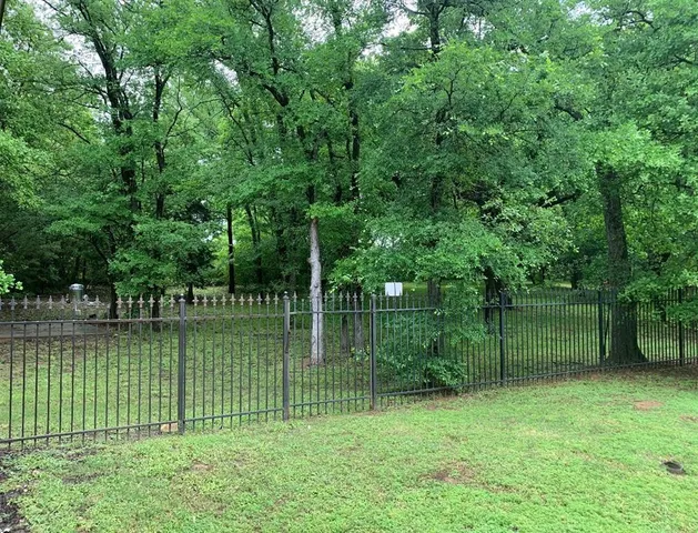 a view of a garden with a lake