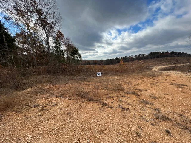 $80,000 | 4 Old State Highway, Sugar Tree, TN 38380