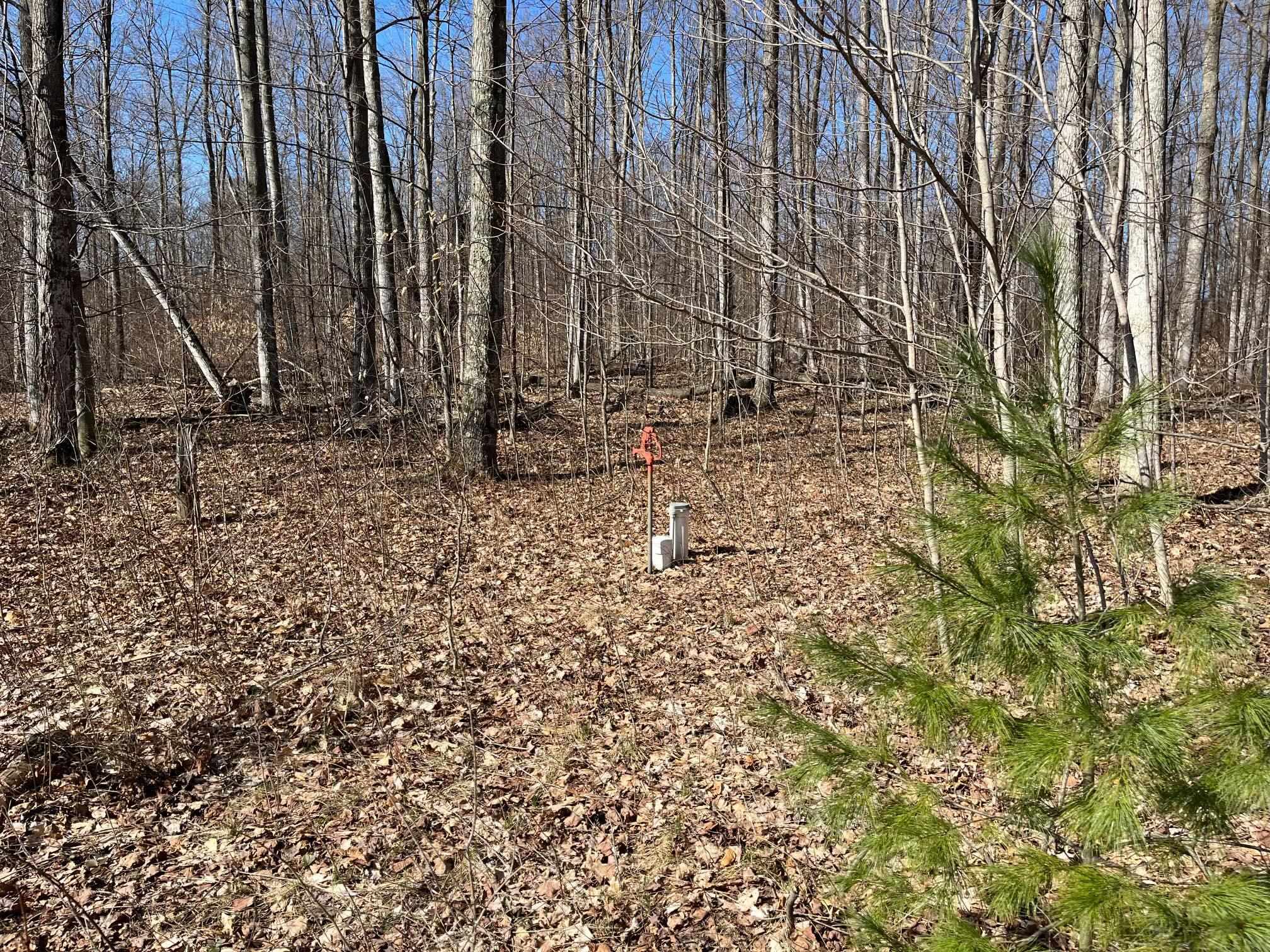 3 King Road, Unit LOT: 3 Benzonia, MI 49616 - Photo 6 of 14