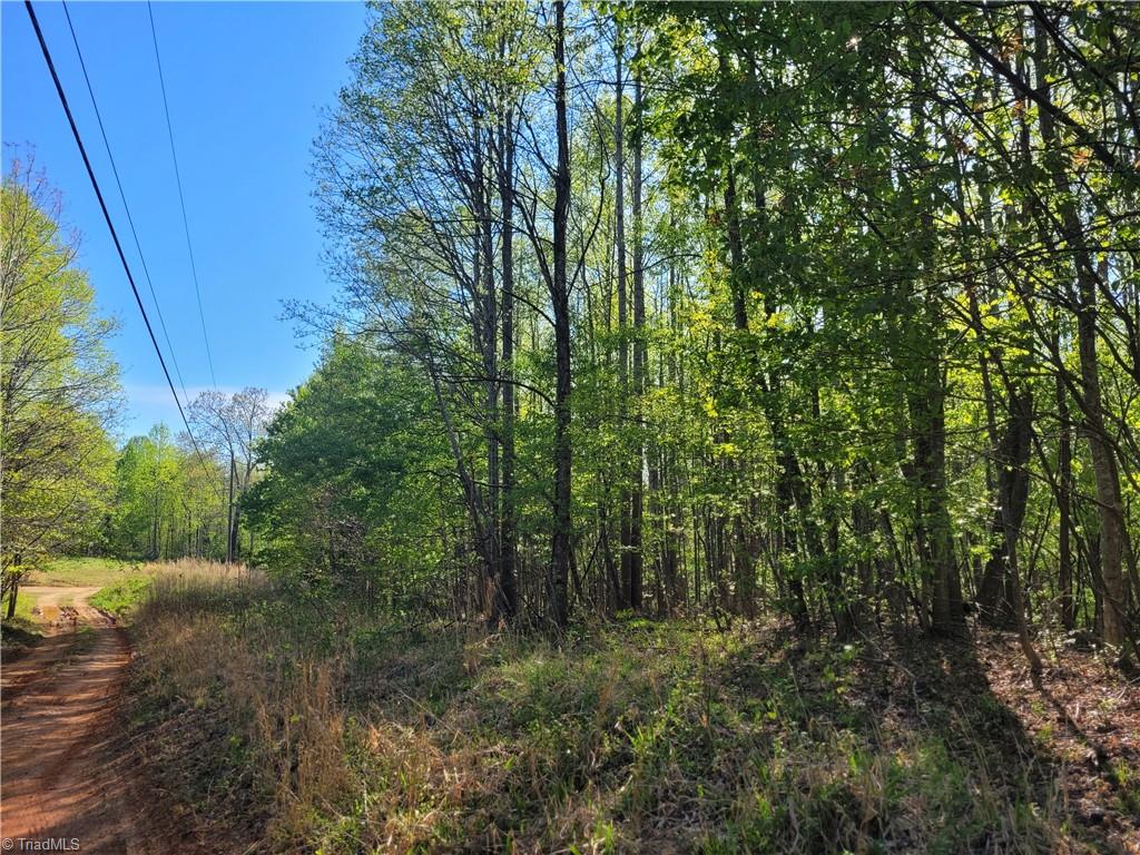 0 Blue Ridge Lane Sandy Ridge, NC 27046 - Photo 1 of 4