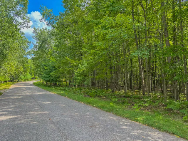 $6,000 | 9385 Clubhouse Drive West, Stanwood, MI 49346