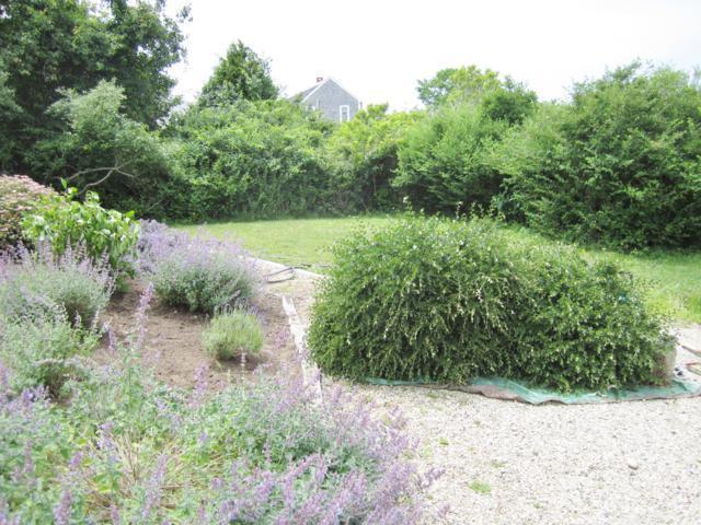 68 Madaket Road Nantucket, MA 02554 - Photo 15 of 16 Additional Photo