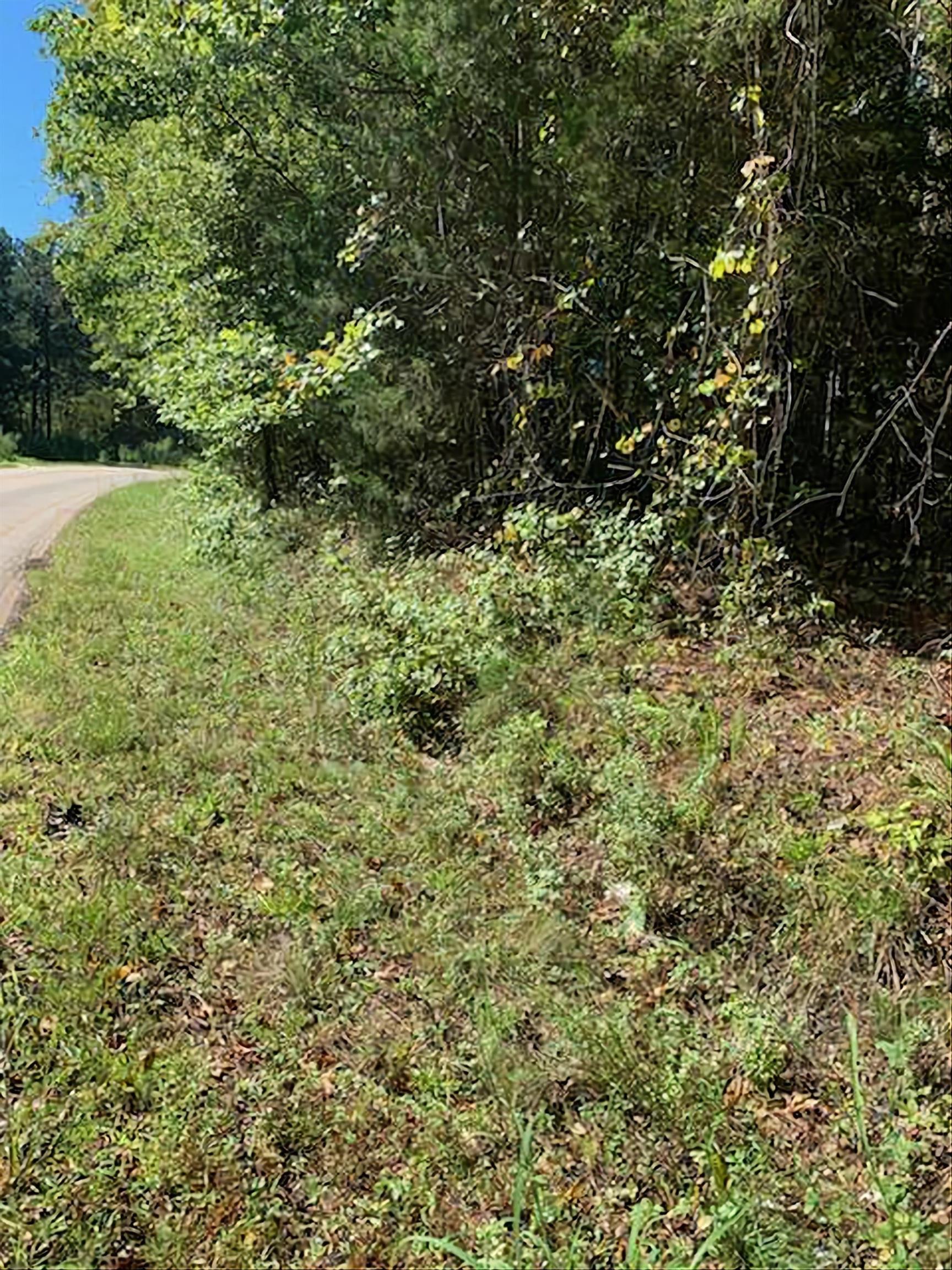 Ball Park Road Enoree, SC 29335 - Photo 2 of 3