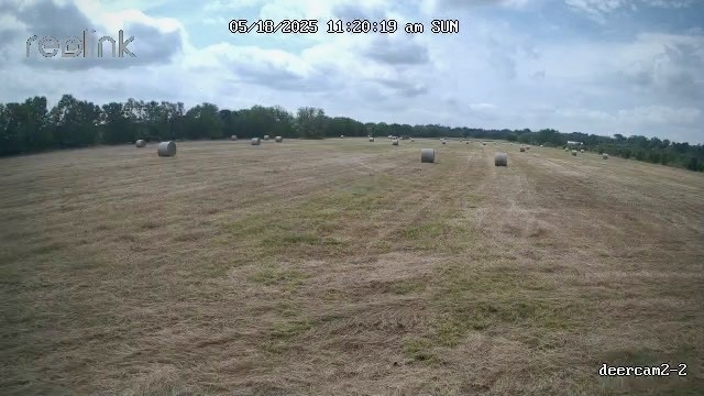 0 Korthauer Road Bellville, TX 77418 - Photo 12 of 13