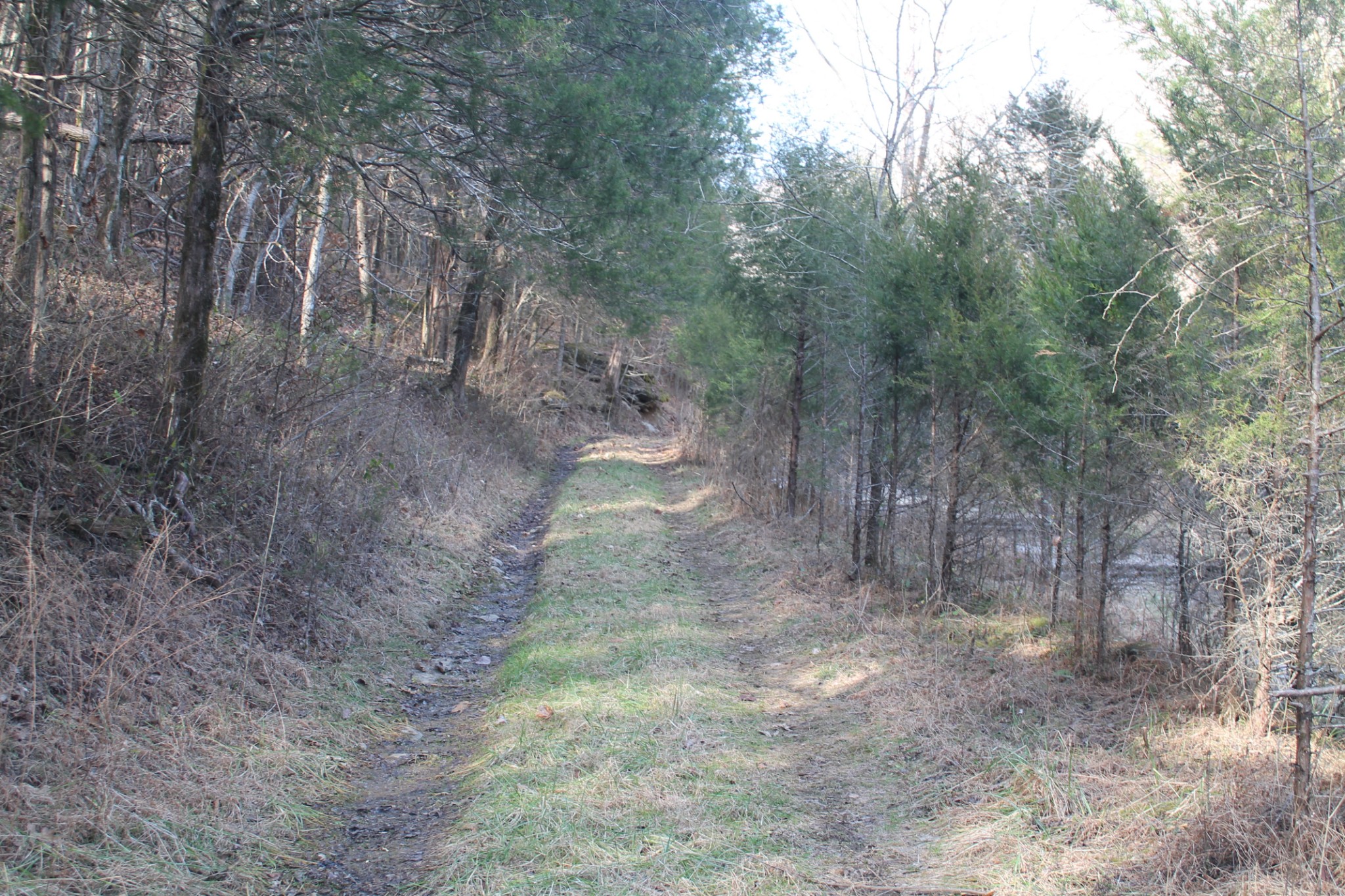 0 Nickajack Road Pleasant Shade, TN 37145 - Photo 16 of 44 Gallery Image 16