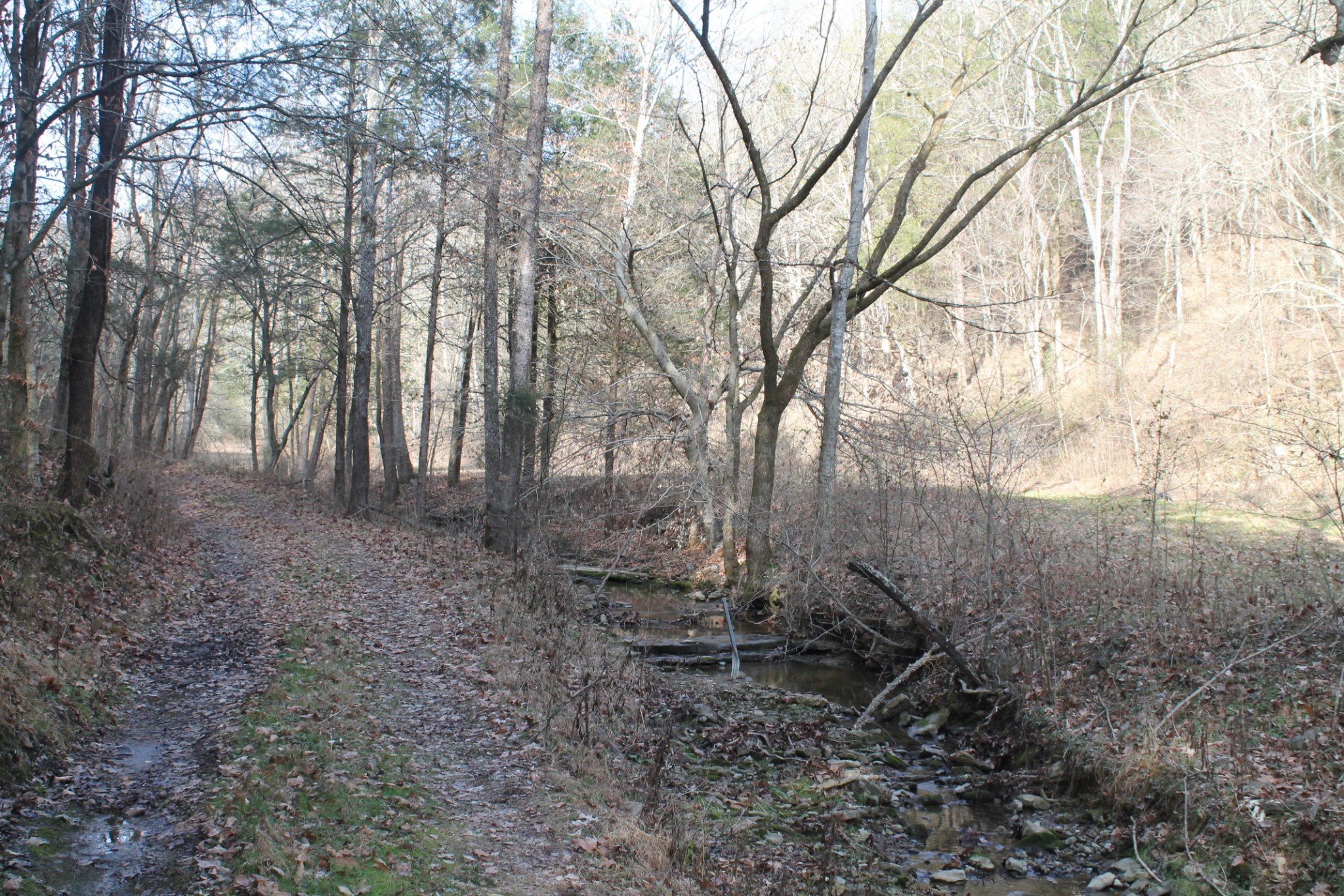 0 Nickajack Road Pleasant Shade, TN 37145 - Photo 19 of 44 Gallery Image 19