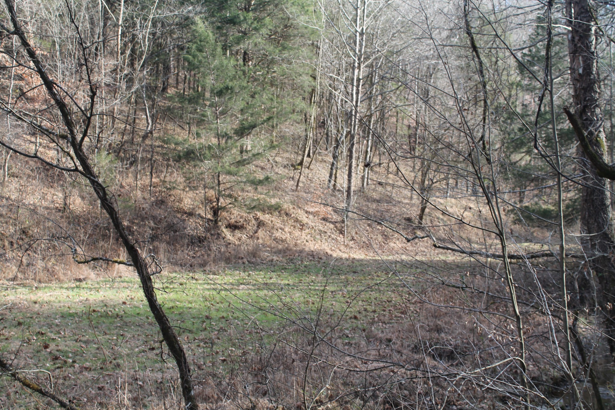 0 Nickajack Road Pleasant Shade, TN 37145 - Photo 21 of 44 Gallery Image 21