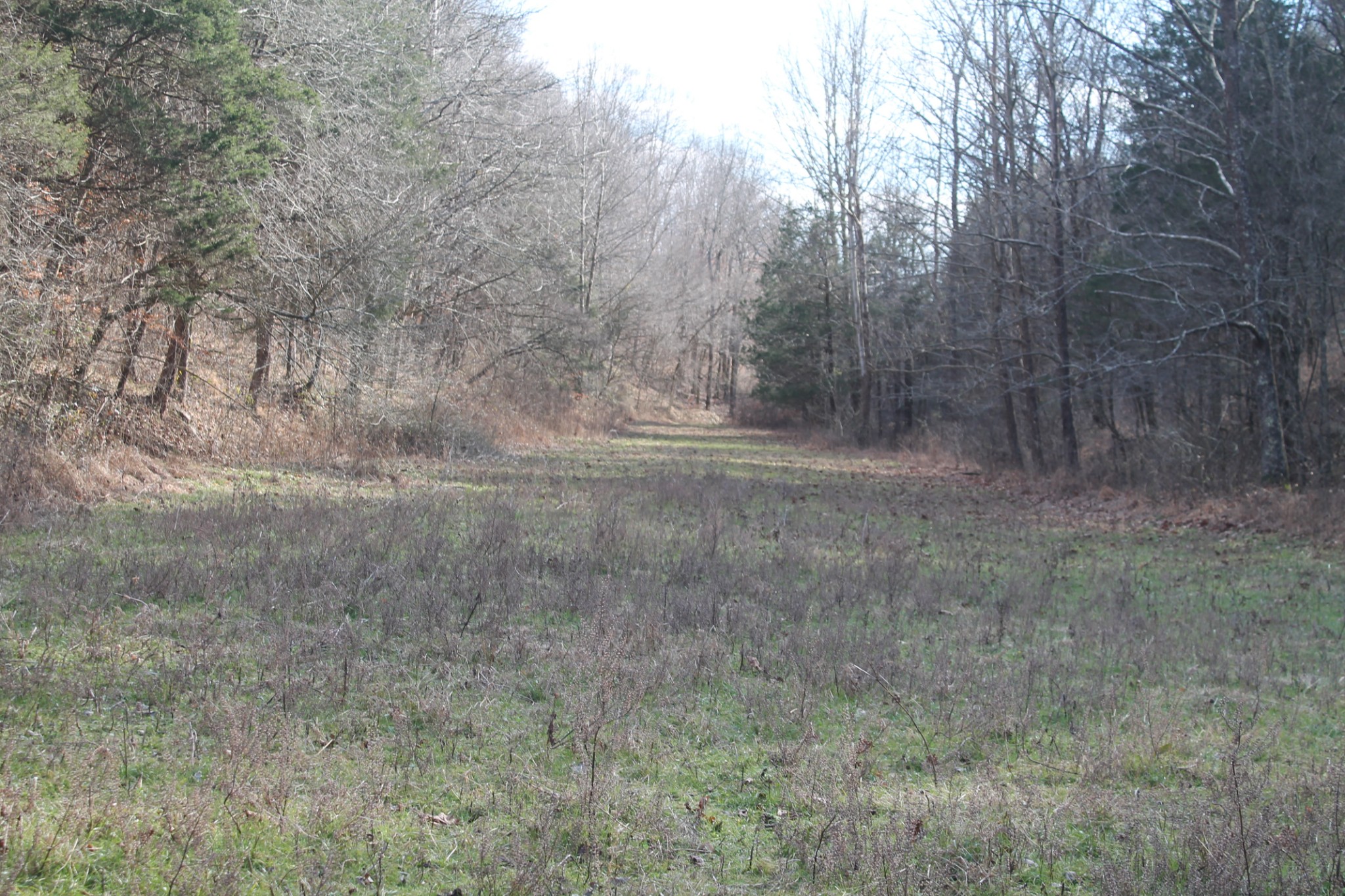 0 Nickajack Road Pleasant Shade, TN 37145 - Photo 23 of 44 Gallery Image 23