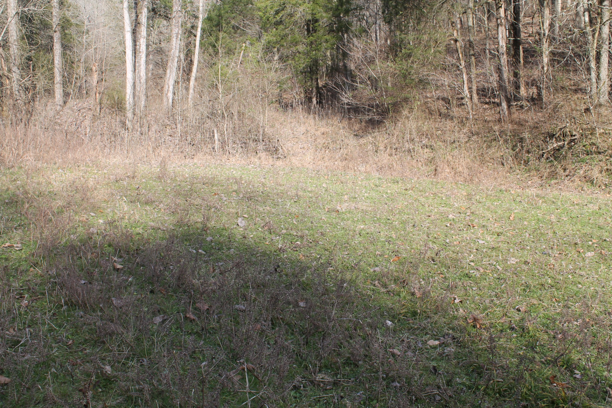 0 Nickajack Road Pleasant Shade, TN 37145 - Photo 24 of 44 Gallery Image 24