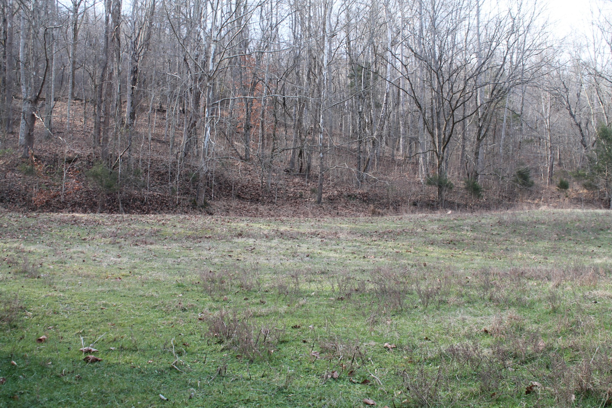 0 Nickajack Road Pleasant Shade, TN 37145 - Photo 25 of 44 Gallery Image 25
