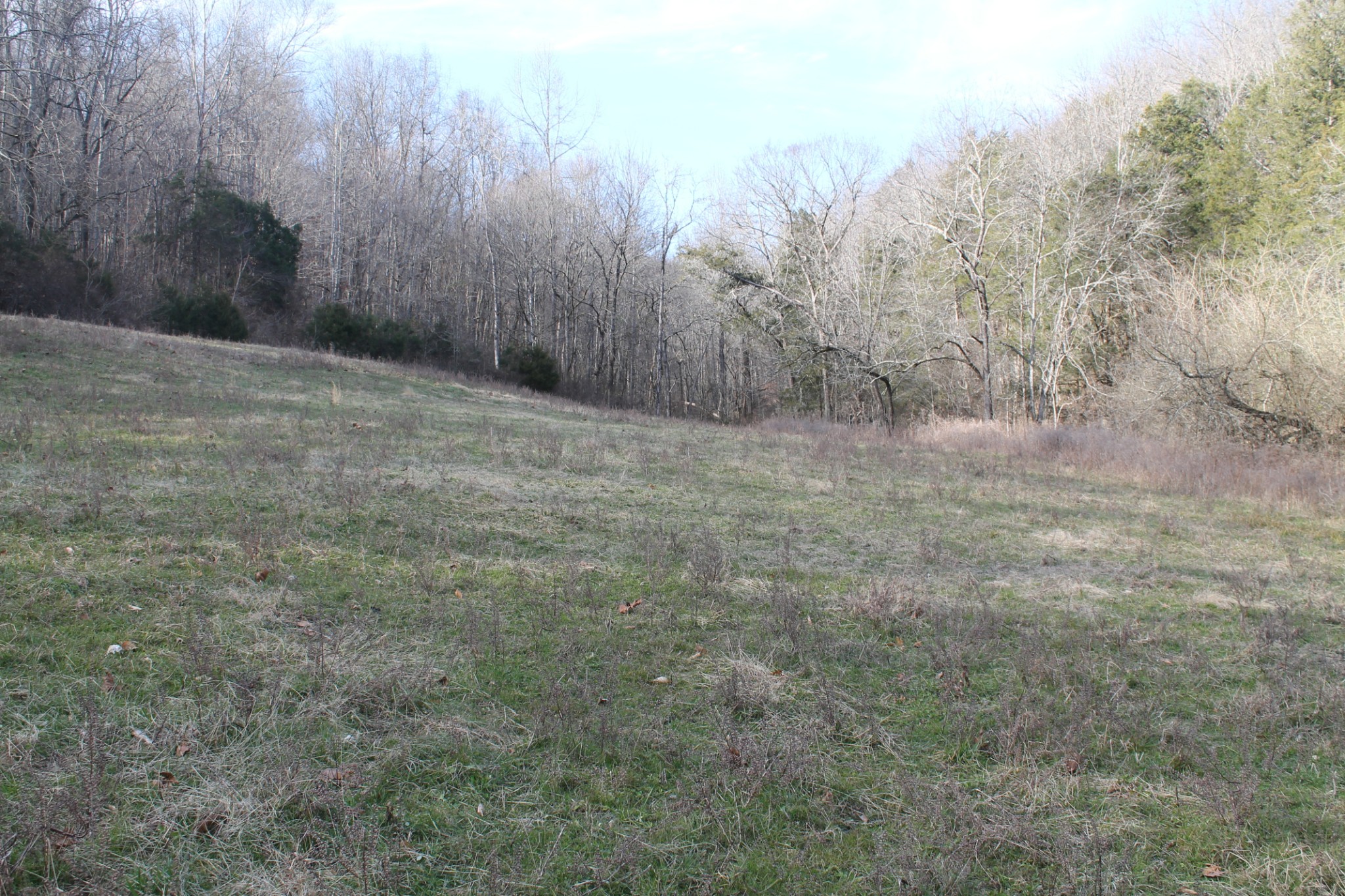 0 Nickajack Road Pleasant Shade, TN 37145 - Photo 26 of 44 Gallery Image 26