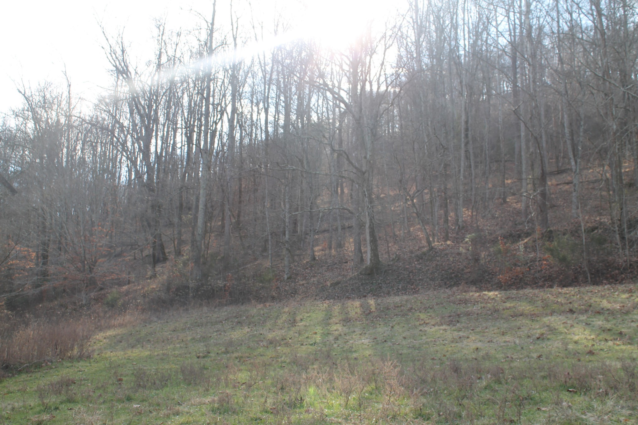 0 Nickajack Road Pleasant Shade, TN 37145 - Photo 28 of 44 Gallery Image 28