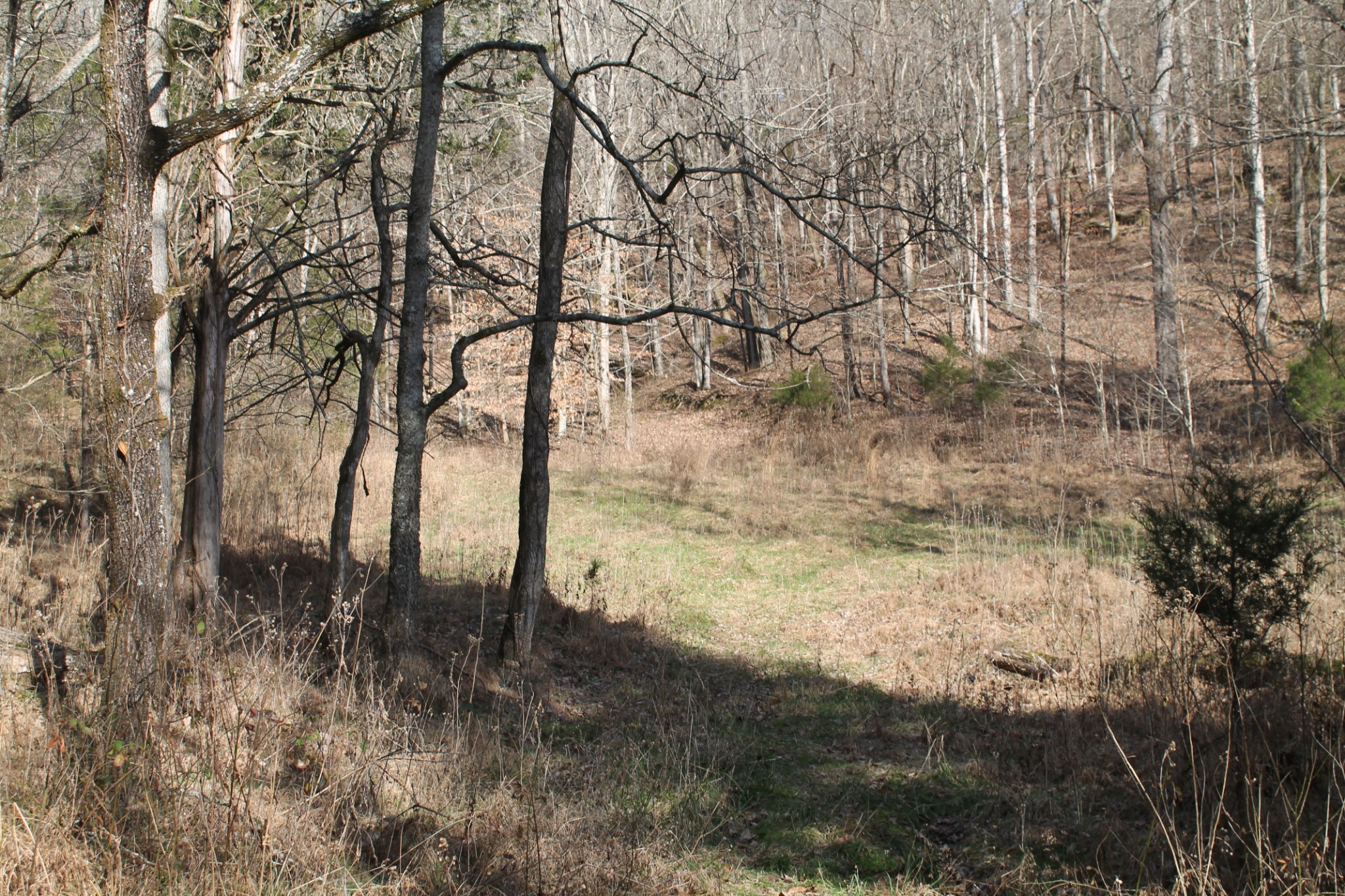 0 Nickajack Road Pleasant Shade, TN 37145 - Photo 32 of 44 Gallery Image 32