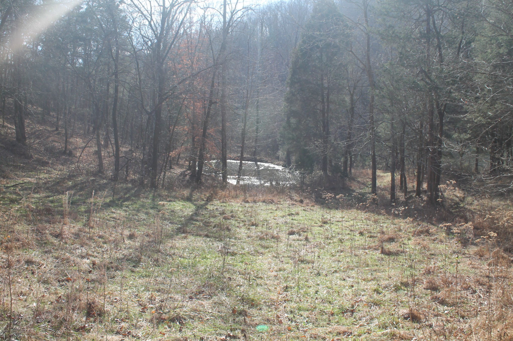 0 Nickajack Road Pleasant Shade, TN 37145 - Photo 34 of 44 Gallery Image 34