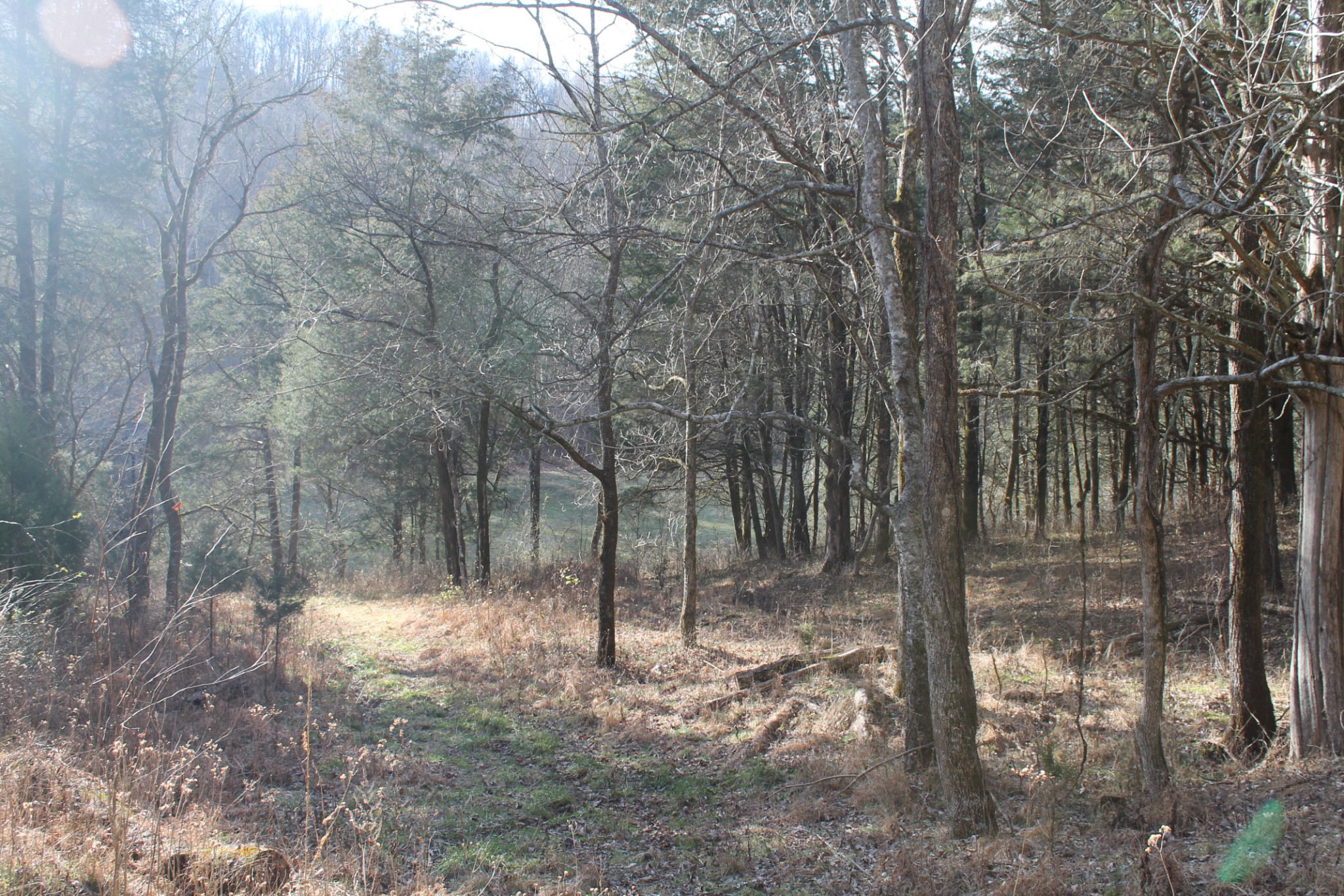 0 Nickajack Road Pleasant Shade, TN 37145 - Photo 38 of 44 Gallery Image 38