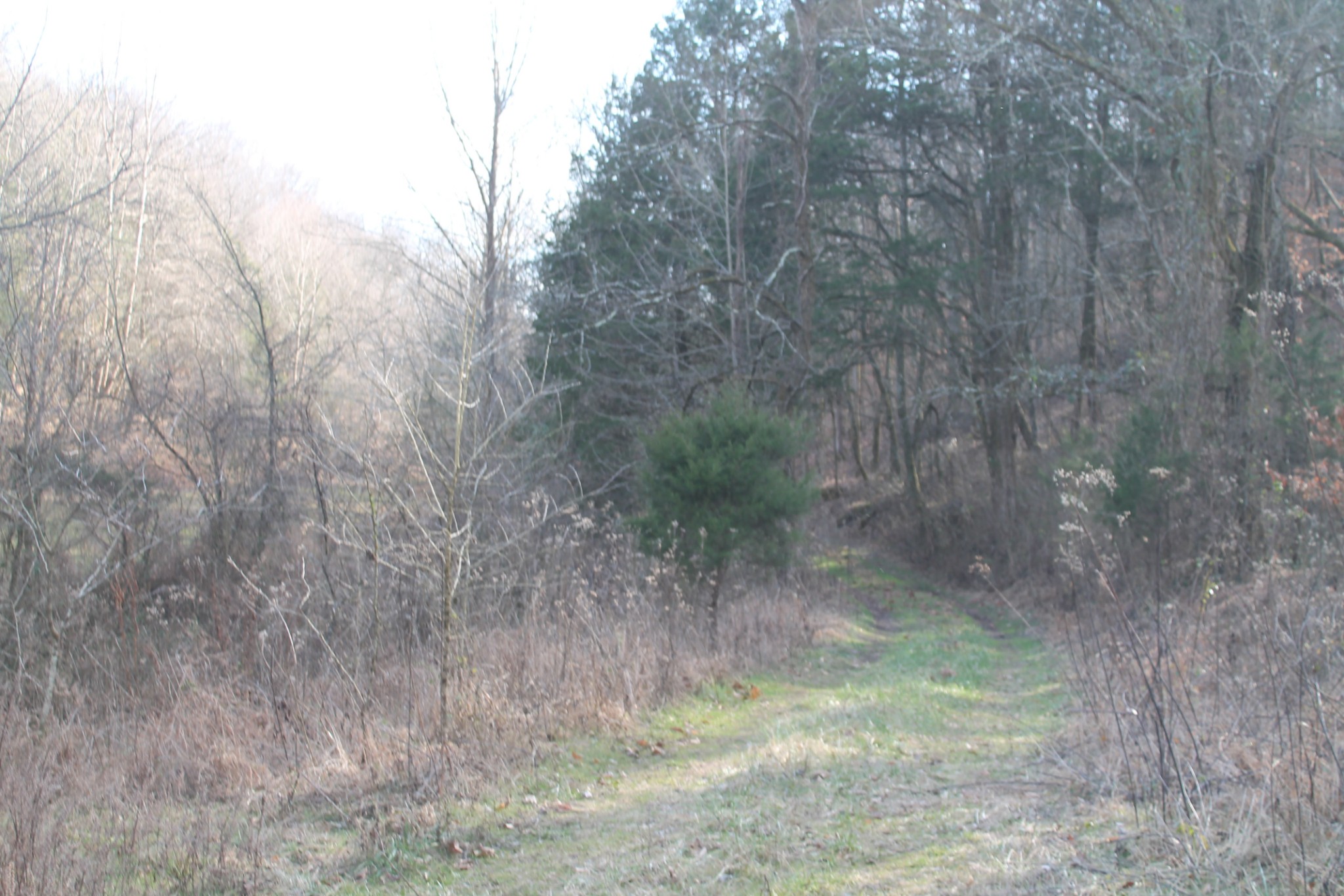 0 Nickajack Road Pleasant Shade, TN 37145 - Photo 40 of 44 Gallery Image 40
