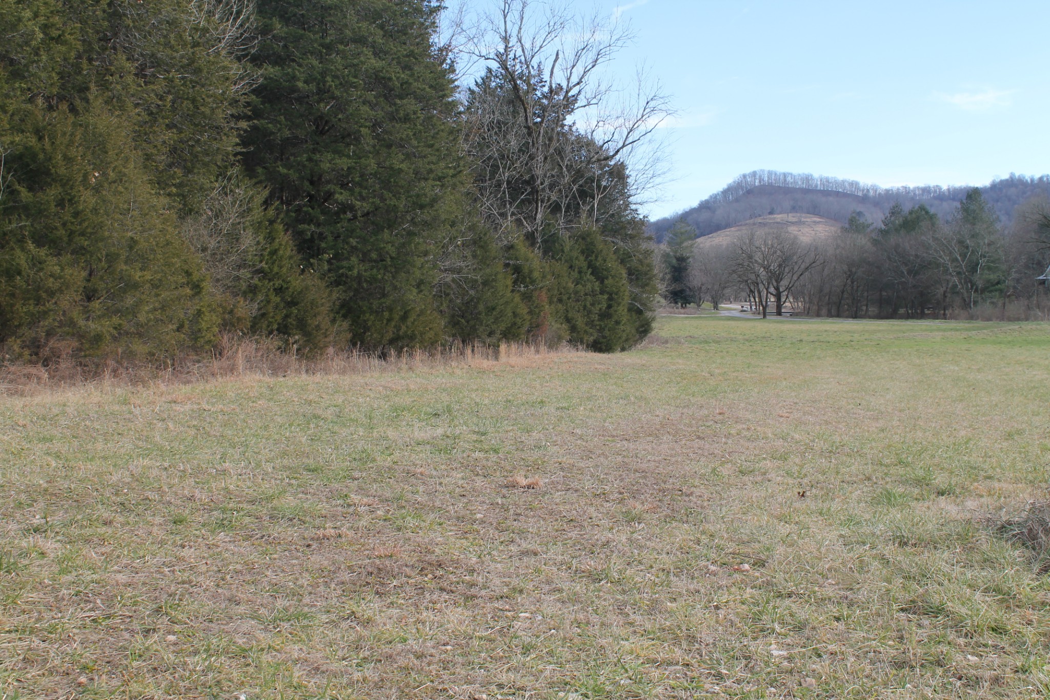 0 Nickajack Road Pleasant Shade, TN 37145 - Photo 7 of 44 Gallery Image 7