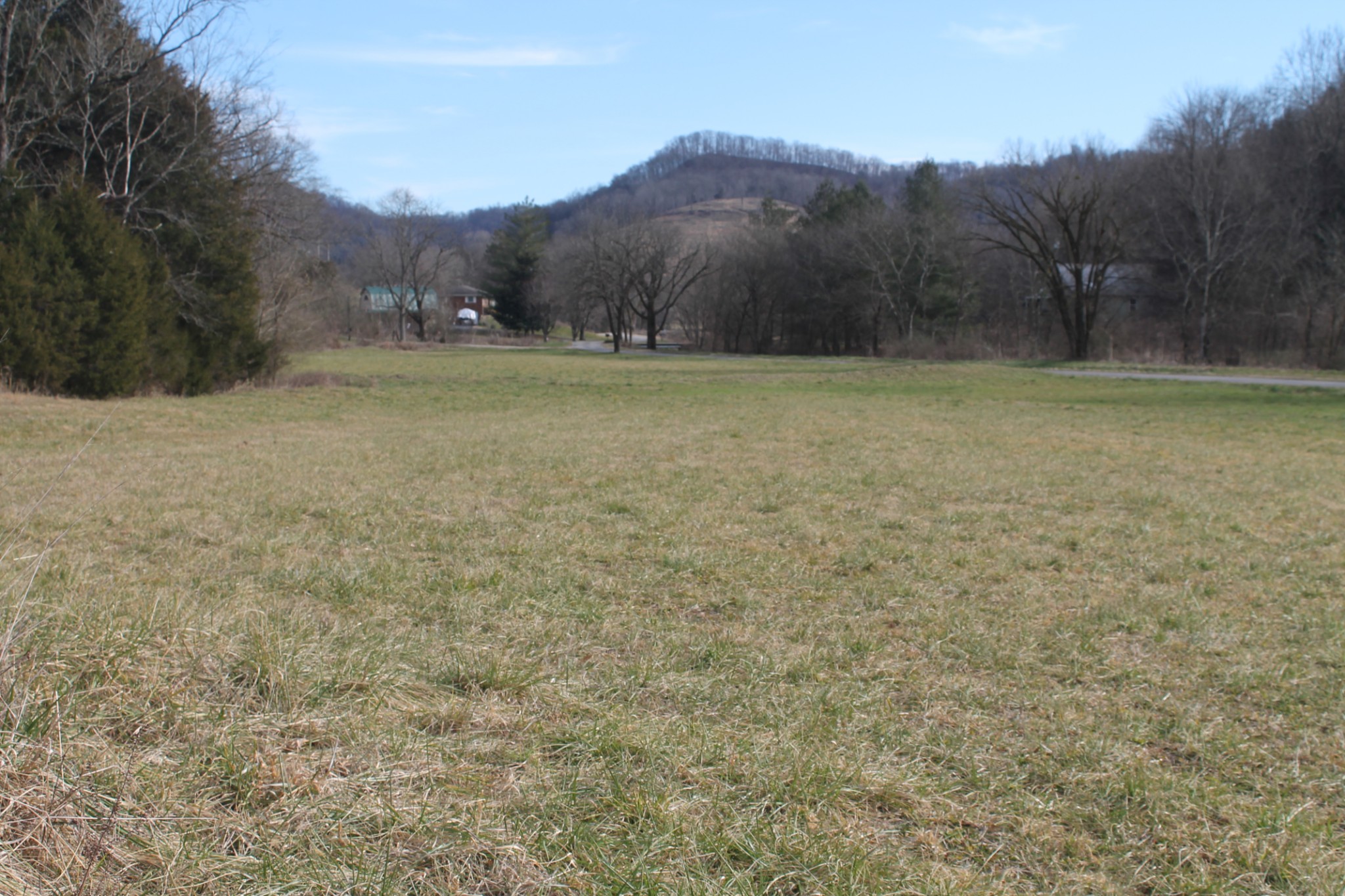 0 Nickajack Road Pleasant Shade, TN 37145 - Photo 8 of 44 Gallery Image 8