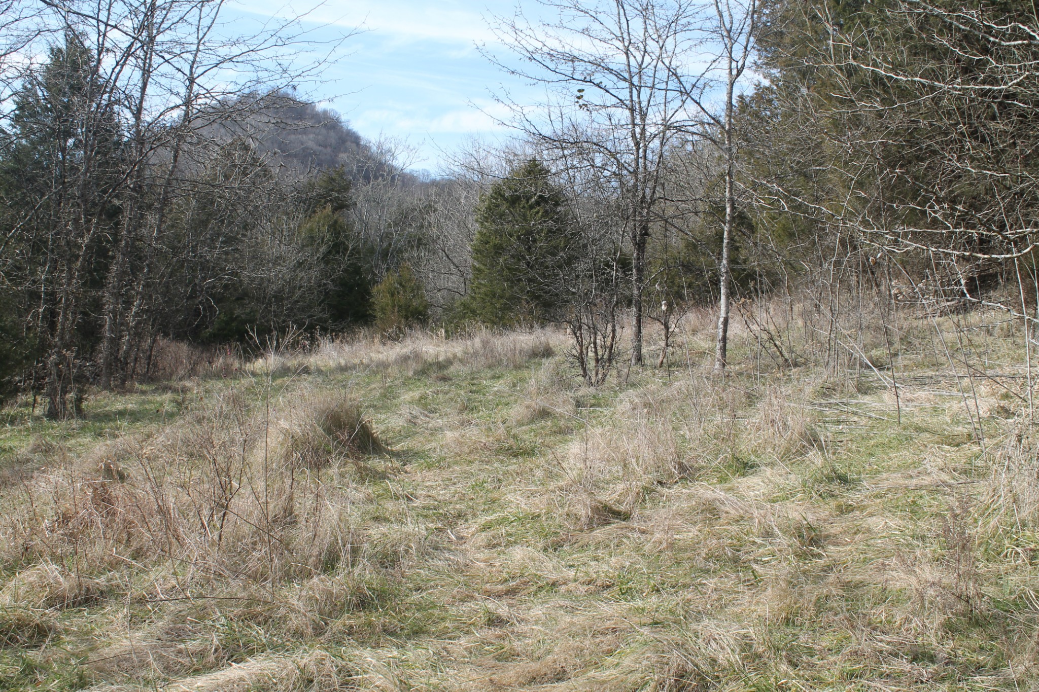 0 Nickajack Road Pleasant Shade, TN 37145 - Photo 10 of 44 Gallery Image 10