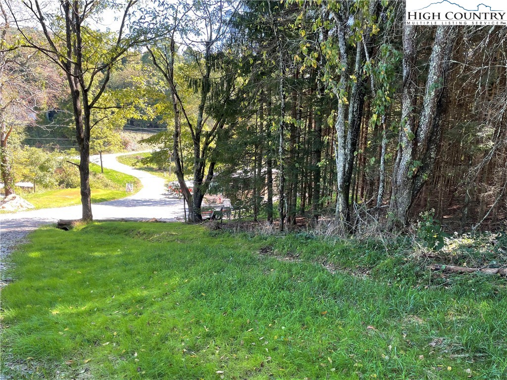 227 Meadow Pines Trail Boone, NC 28607 - Photo 34 of 34 a view of backyard with tree