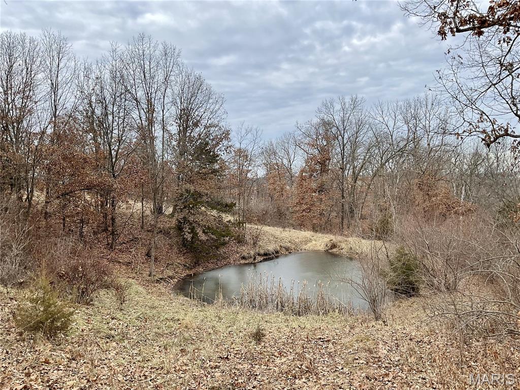 0 Buck Creek Road Greentop, MO 63546 - Photo 13 of 20