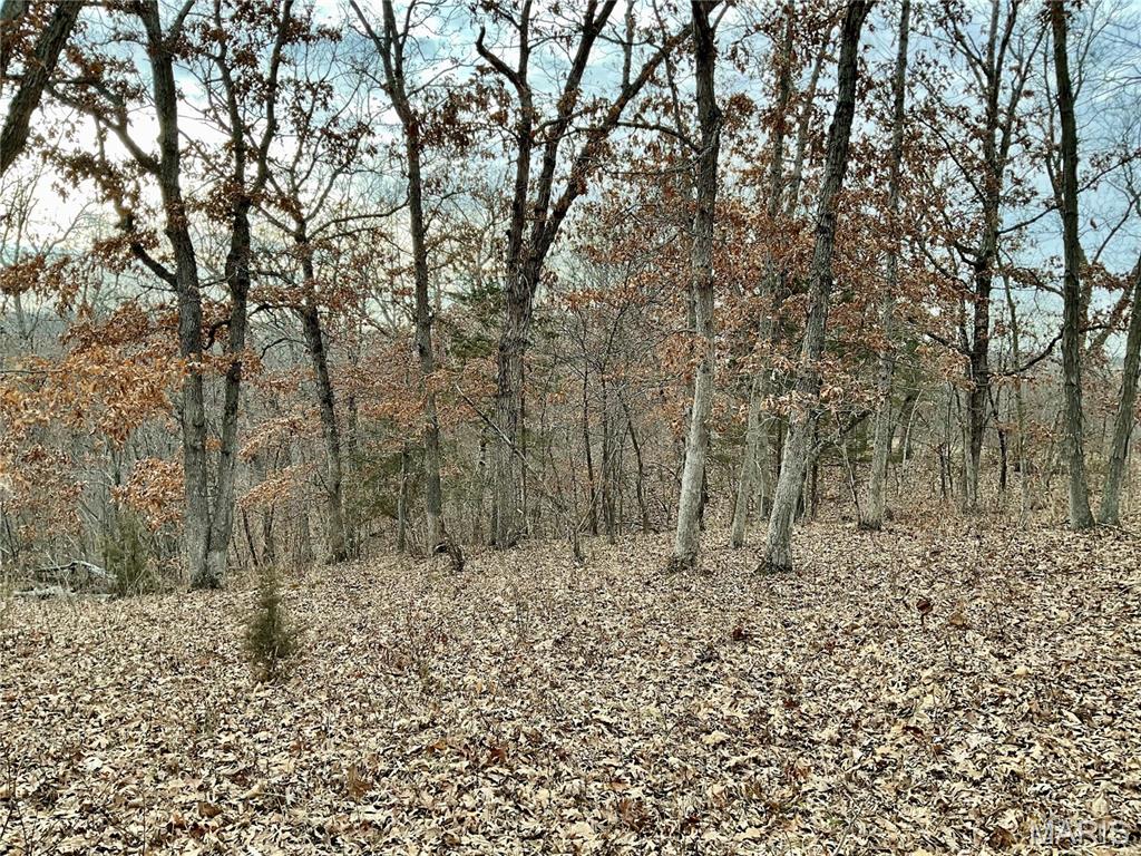 0 Buck Creek Road Greentop, MO 63546 - Photo 15 of 20