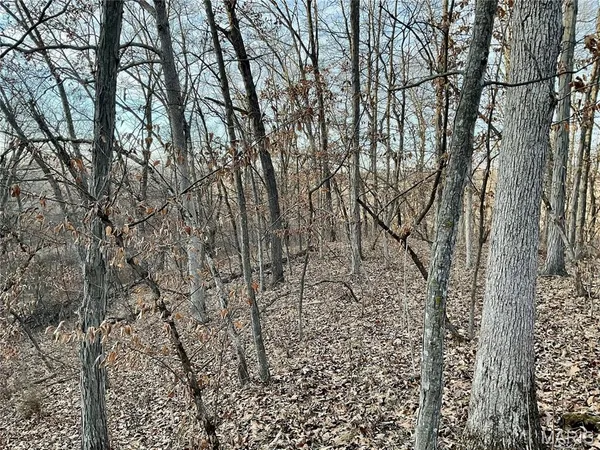 $223,900 | 0 Buck Creek Road, Greentop, MO 63546
